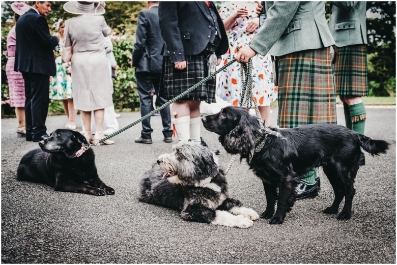 wedding celebrations